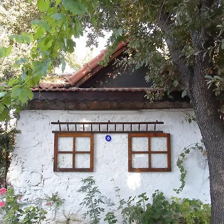 Lejlighedshotel Kaya Apart *